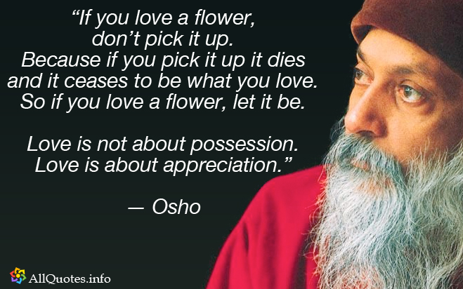 osho flower